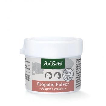 Preview: Propolis Pulver - 20 g